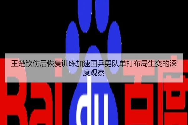 王楚钦伤后恢复训练加速国乒男队单打布局生变的深度观察
